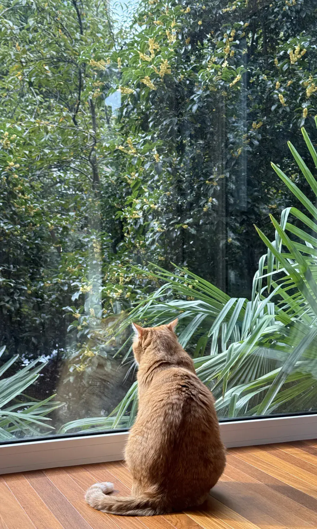 Panoramic fixed-window combination reference 18