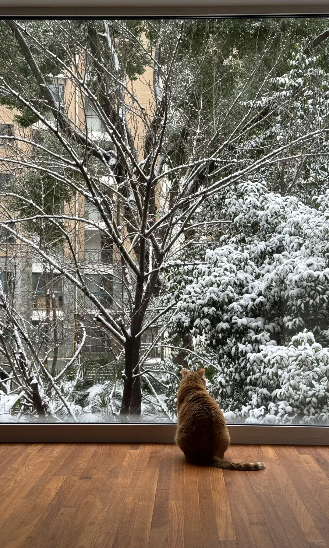Panoramic fixed-window combination reference 19