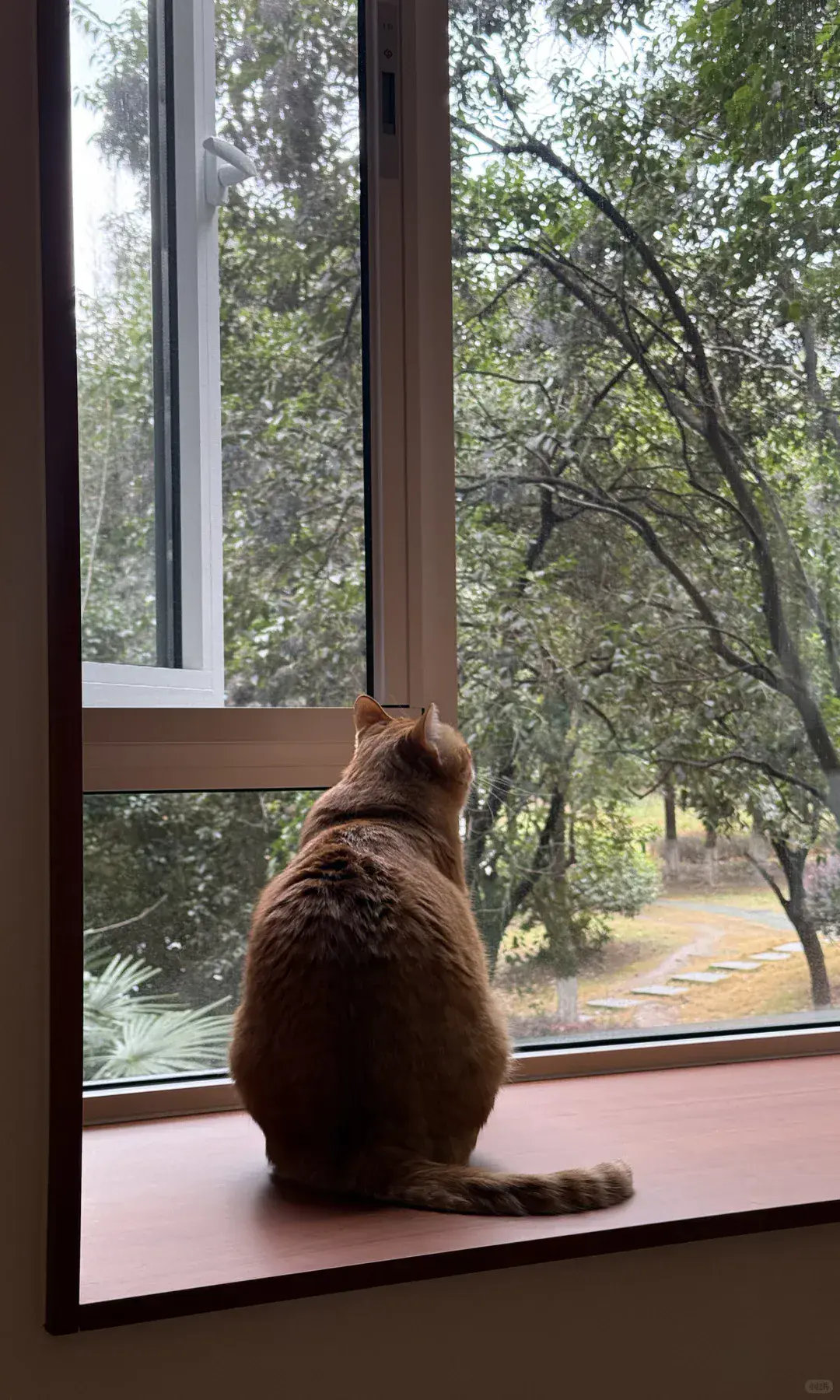 Panoramic fixed-window combination reference 20